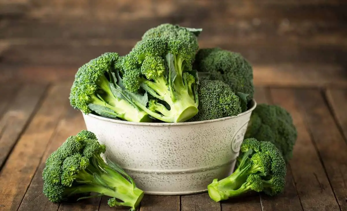 Broccoli-Is-Great-For-A-Solid-And-Fit-Body