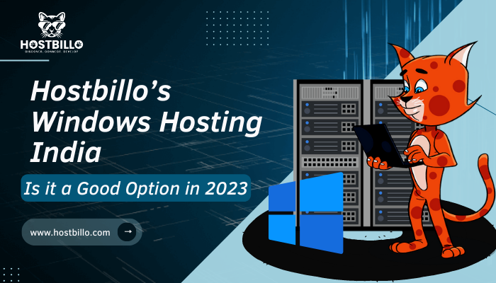 Hostbillo’s Windows Hosting India