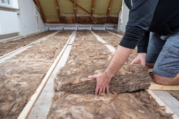 The Insulation Upgrade You Need for a Cozier and Greener Home!