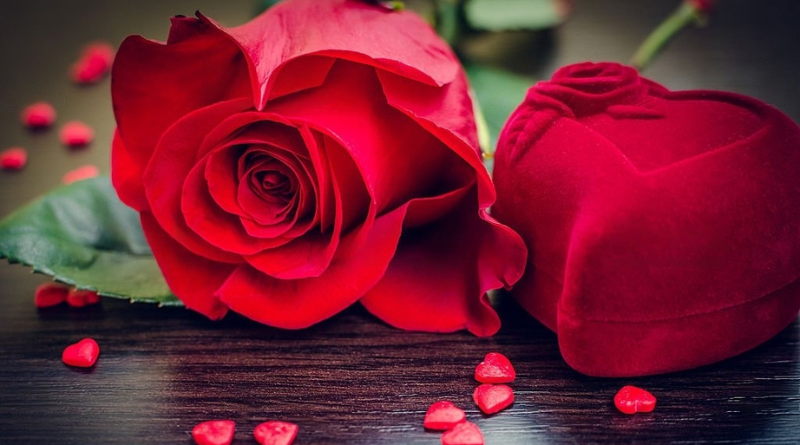 Which Valentine Day Flowers To Send To Your Love!