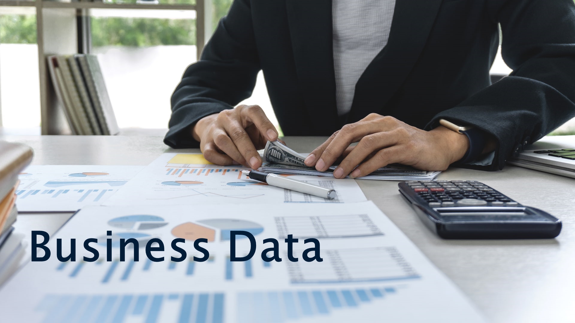 Importance of Business Information Reports for Successful Businesses