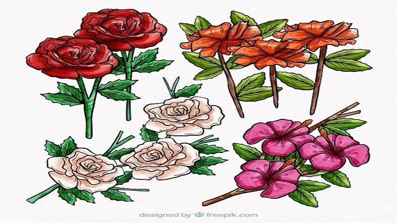 Dibujo:weryir0gyvm= rosas: A Comprehensive Guide to Drawing Roses