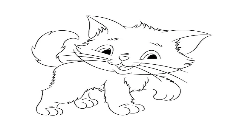 drawing:a4z_-ymtkr8= cats